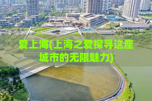 爱上海(上海之爱探寻这座城市的无限魅力)