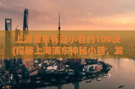 上海浦东有站小巷的100块(探秘上海浦东神秘小巷，发现100元美食天堂)