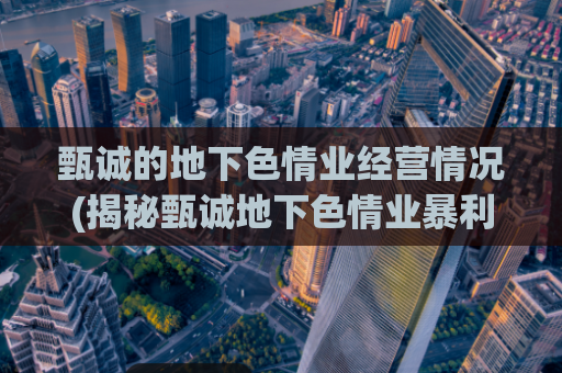 甄诚的地下色情业经营情况(揭秘甄诚地下色情业暴利经营现状)