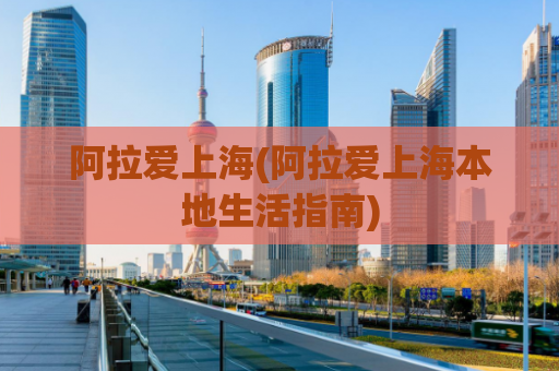 阿拉爱上海(阿拉爱上海本地生活指南)