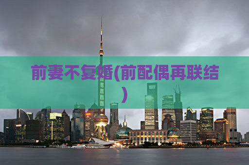 前妻不复婚(前配偶再联结)