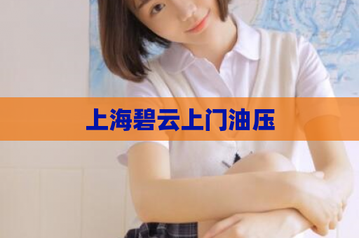 上海碧云上门油压