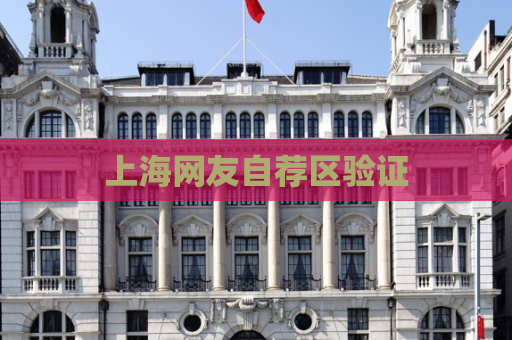 上海网友自荐区验证