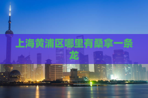 上海黄浦区哪里有桑拿一条龙