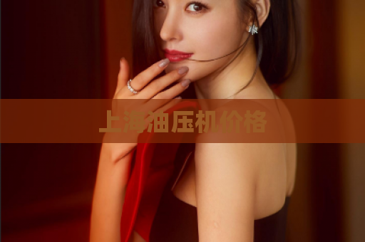 上海油压机价格